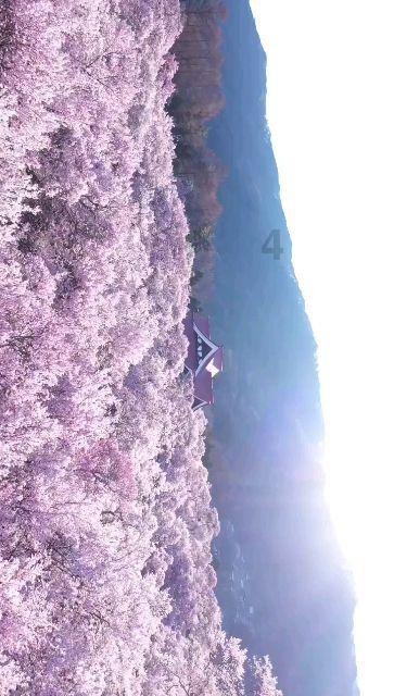 禹城市委常委、组织部部长任晓冰到辛寨镇参加指导主题教育专题民主生活会暨红星村前庄科党支部组织生活会
