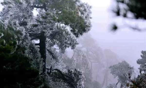 咖啡厅找不同