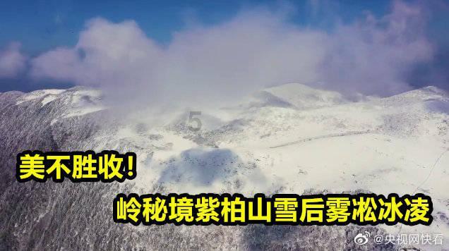 国足换帅箭在弦上
