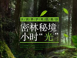 非洲红花梨——一种在南北方都不易开裂的木材