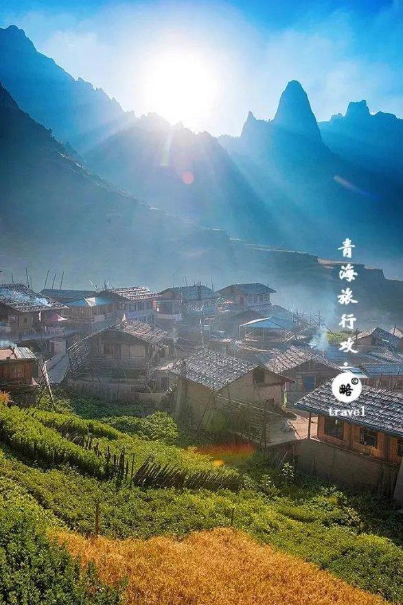 动物帮帮忙保卫家园