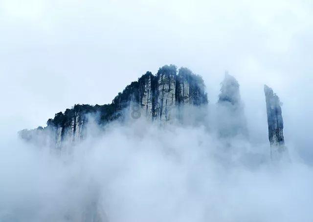 小艾比当营养师