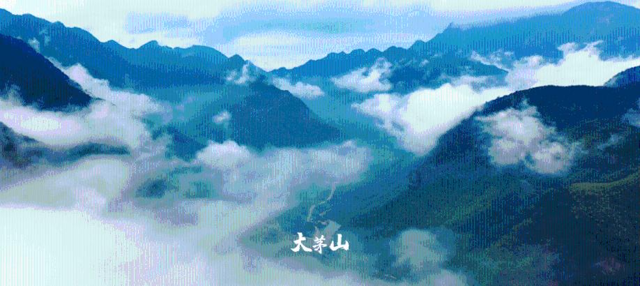 京晋赛前：三将复出，小曾合练；亚当斯缺席，彦西特训，张宁呼吁