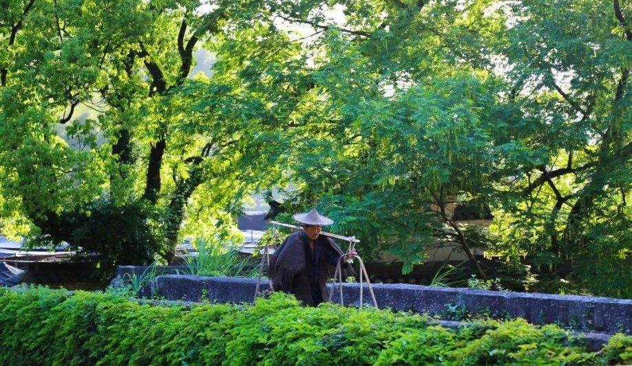 动物帮帮忙保卫家园
