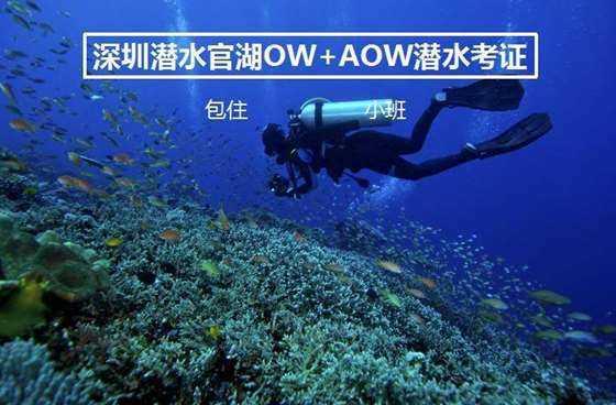 网上大胃王的视频中真的能吃得下那么多东西吗？游戏画面