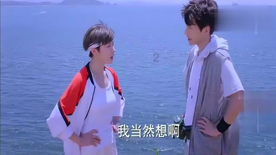 小乌龟逃亡记
