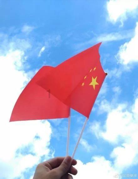 漂亮鹦鹉救援