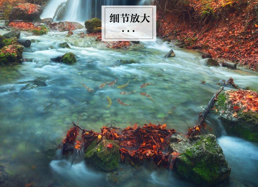 单亲家庭孩子不结婚怎么办？游戏画面