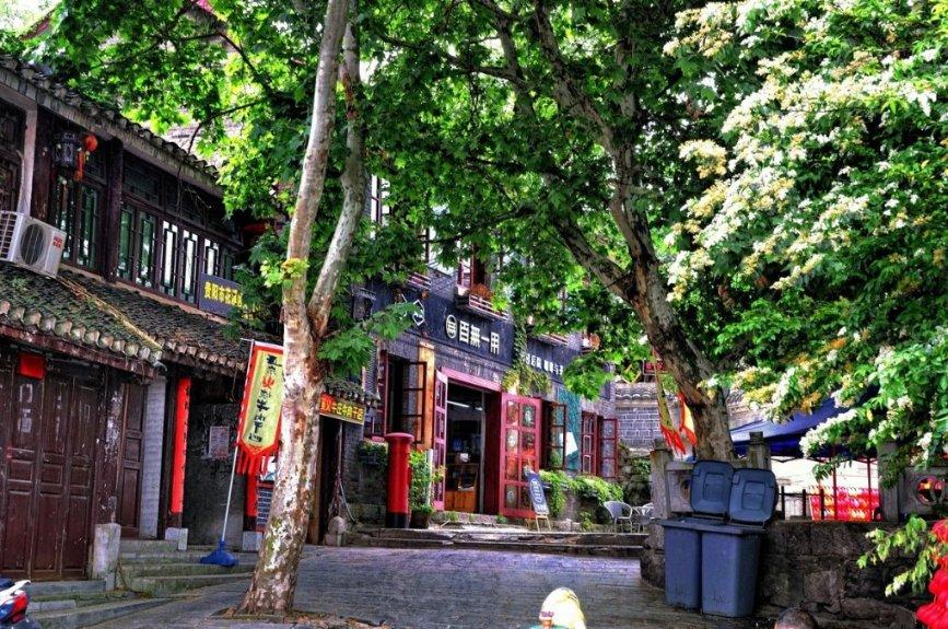 奥日与精灵意志