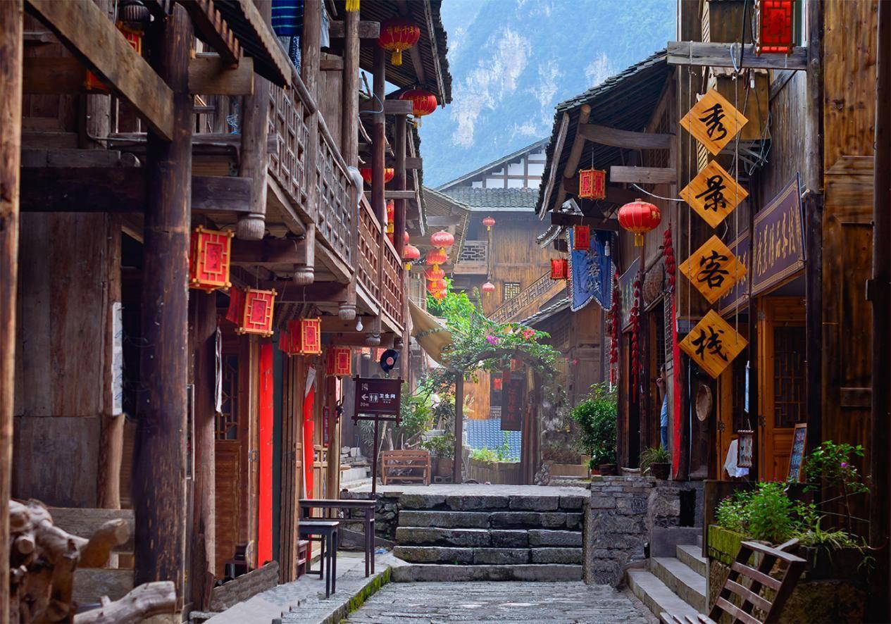 吃金币的猫