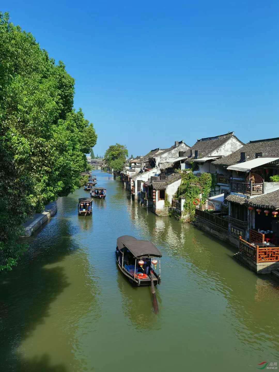 侏罗纪世界进化