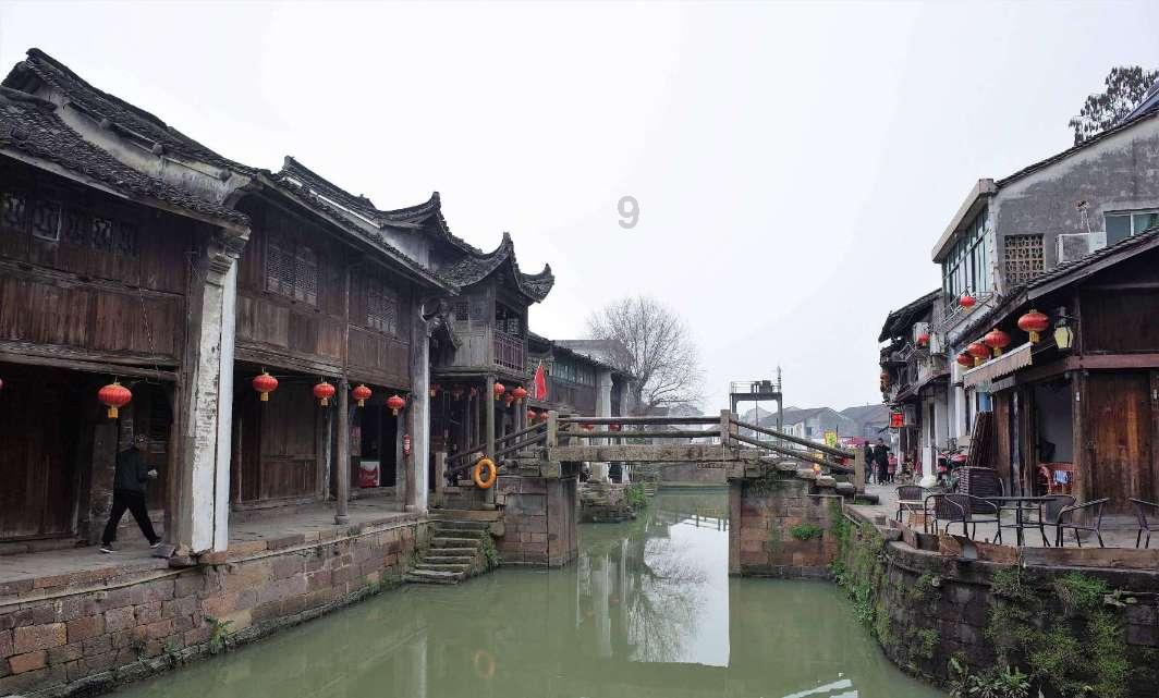 大金狮逃生
