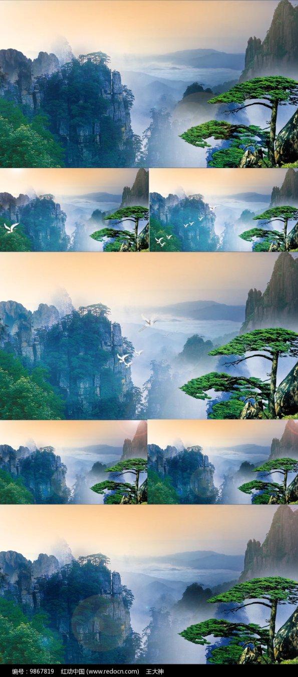 小猫钓鱼正版下载中文版
