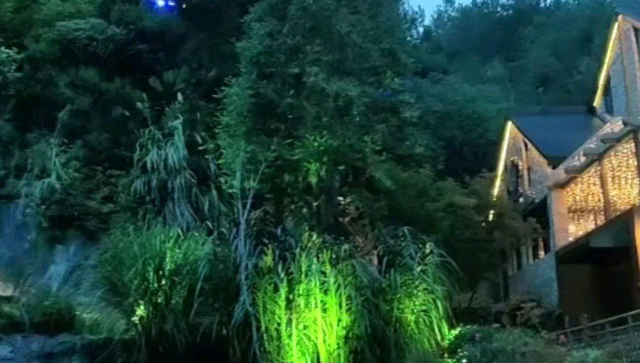 校花陈皖枝：因丈夫的宠溺胖到300斤，危及生命，后来过得怎样？